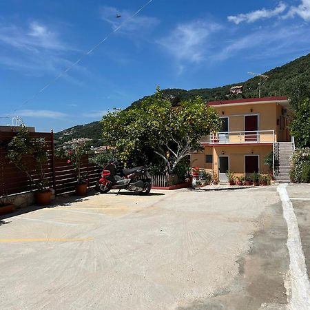Vasiliki See View Apartments Barbati Exterior foto